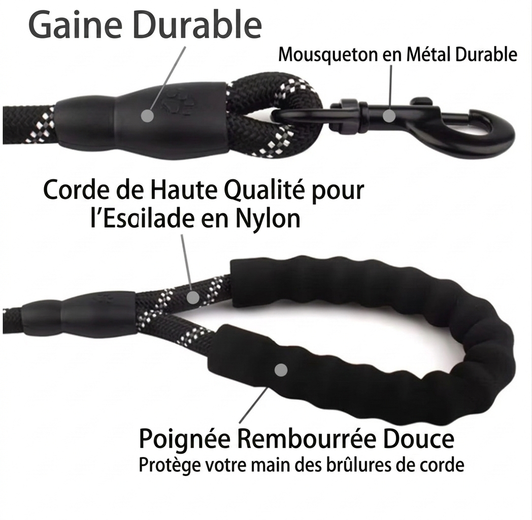 Laisse réfléchissante pour chien – Image 2